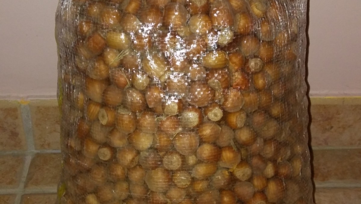 Saco de avellanas ecológicas de 5 Kg