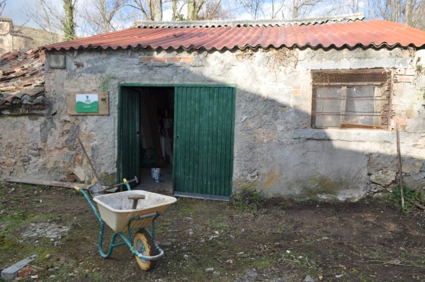 vivero la huella verde 