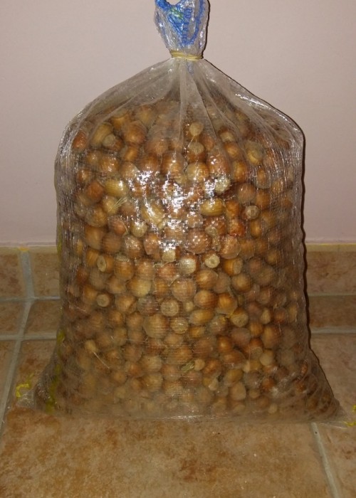 Saco de avellanas ecológicas 25 Kg 