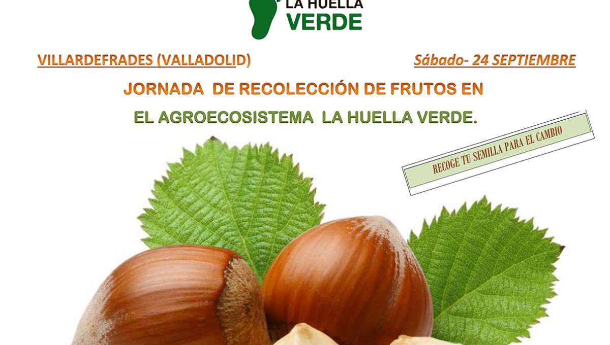 Jornada de recolección de frutos 24 septiembre 2016