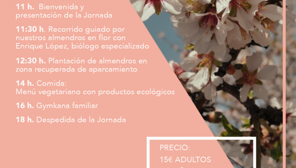 Jornada del almendro en flor