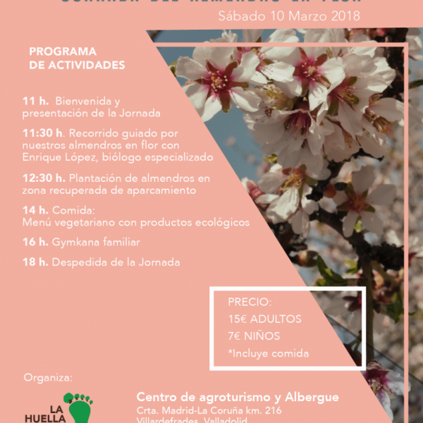 Jornada del almendro en flor